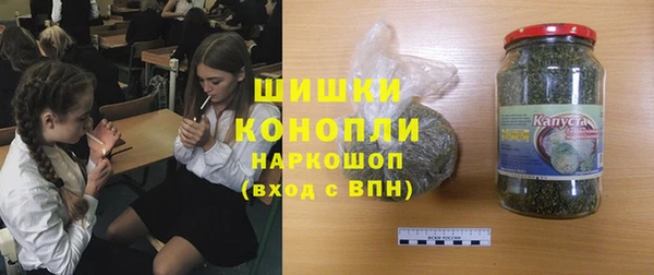 мдпв Александровское
