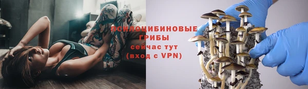 мдпв Александровское