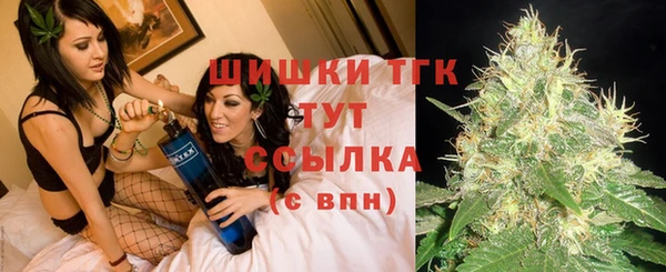 мдпв Александровское