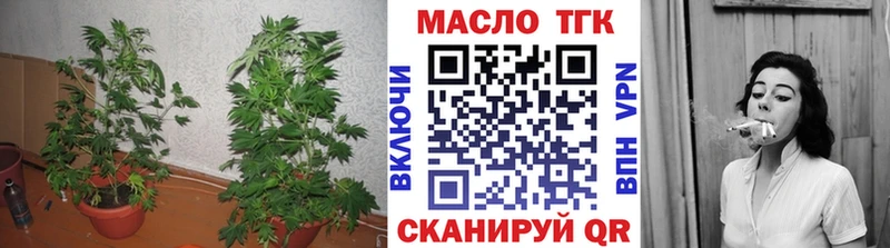 Дистиллят ТГК гашишное масло Дмитровск