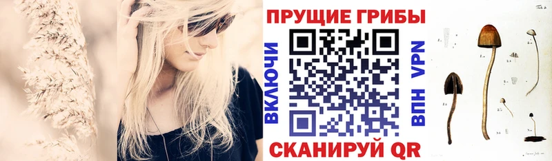Галлюциногенные грибы Magic Shrooms  Дмитровск 